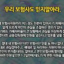 [펌글]"교통사고 합의" - 초보를 위한 꿀팁 이미지