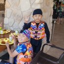 드림합기도 이미지