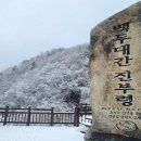 지구온난화 1.5℃ 첫 붕괴 공식확인 이미지