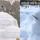 이월드코코몽눈빛마을 네이버블로그