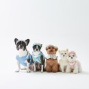 소중한 댕 이미지