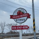 곡성-134 | 광주 근교 화순 딸기체험 스윙베리 후기｜3살 아이랑, 따서 바로 먹을 수 있어요 (시식 가능)