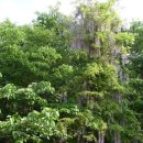 설천초등학교 이미지