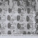 수소나라 이미지
