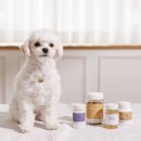 안성동물의료센터 이미지