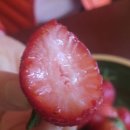 국민농장 이미지