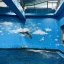 가나유치원 이미지