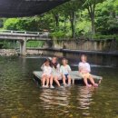 숲속에 머물다 | 🏕️ 춘천 숲속에 머물다 캠핑장 – 조용한 숲속 캠핑을 원한다면 강추!