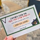 고양이카페 루프캣미 명동점 이미지