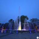 [서울/어린이대공원] 겹벚꽃, 피크닉 위치(+대박치킨, 아오스요거트)