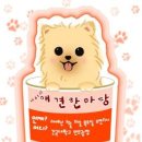 성보펫케어(주) 이미지