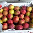 에바다농장 이미지