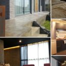 선인장을 부탁해 이미지