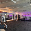 1994복싱 이미지