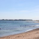 제주전복물회 이미지