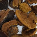 설악산건강원 이미지