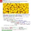 #CNN #KhansReading 2017-05-27-1 Trump angers US citrus farmers with decision to allow lemons 이미지