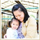 정다운목장 이미지