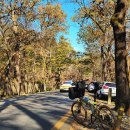 성동시장동편 | 가을의 '장화 코스' 랜선 여행