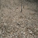 서구-02-37 이미지