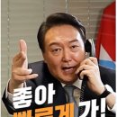 대윤