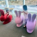 의창도서관 어린이자료실 | 포은흥해도서관 유아/어린이 자료실 후기:)