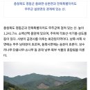 제223차 충북 영동 민주지산 신년 정기산행 변경 이미지