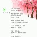 상림수목원 Daum카페