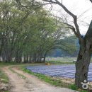 구룡인공수정소 | 정령치 넘어 지리산을 유람하다. 전북 남원 구룡계곡에서 실상사까지