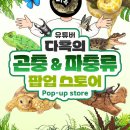 (주)신세계푸드 백화점 본점 | 다흑 곤충 파충류 팝업스토어 롯데백화점 서면본점 기간 입장료 전시회 후기