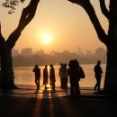 아침햇살 이미지