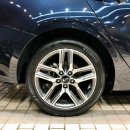 카테일링 이미지