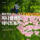 인주쉼터 | 충남아산 피나클랜드 튤립축제 주차·입장료·맛집 총정리
