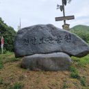 태조산공원 보훈공원 이미지