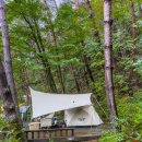 고요한 숲 | [영월캠프]강원도 영월 고요한 숲 속 편안하고 여유로웠던 영월캠프 후기!