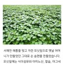 떡보네 - 영광군 법성포로3길 20-36 | 떡보네