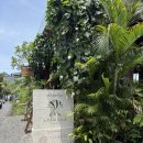 31140-9-31-8 | 12. 발리 7박 9일 신혼여행✈️🌴🏺(3월 23일~3월 31일)_2