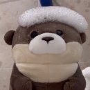 달츄