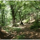 한우물약수터 이미지