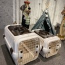 남부켄넬 이미지