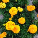 순천게스트하우스 도란도란 이미지