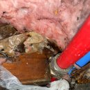 아차노리로 이미지