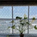 분성로691번길 이미지