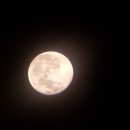 칠갑산파크 이미지