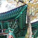 유구약국 이미지