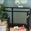 루이펫샵 이미지