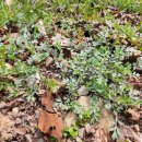 의령골프연습장 이미지