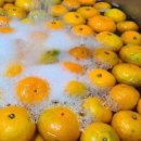 경희대안화태권도장 이미지