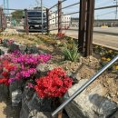 안심1리 이미지