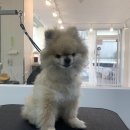 멍앤리치 이미지